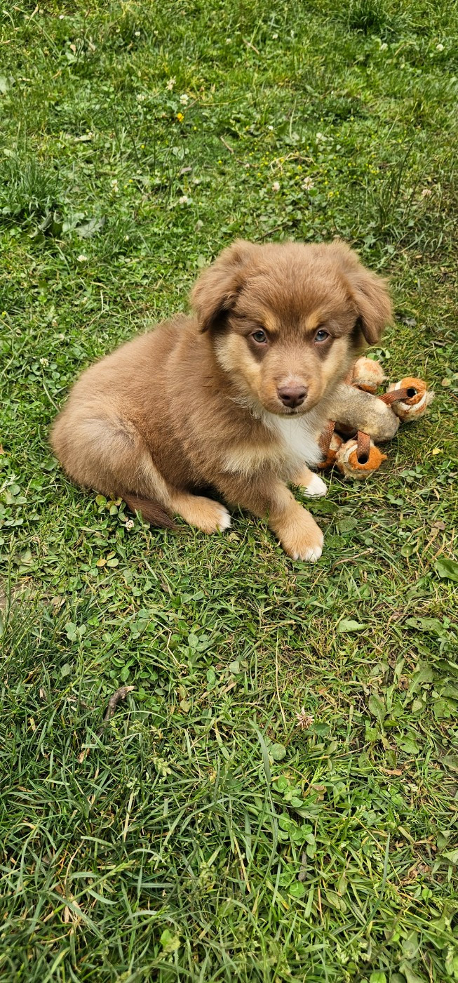 Baby Saja